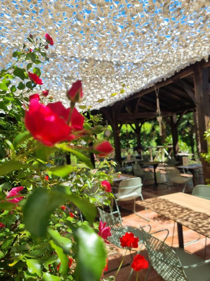 Hotel Restaurant Du Commerce Estang Екстер'єр фото